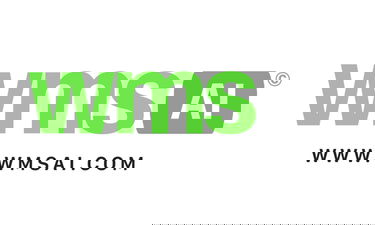 WmsAI.com - Creative brandable domain for sale