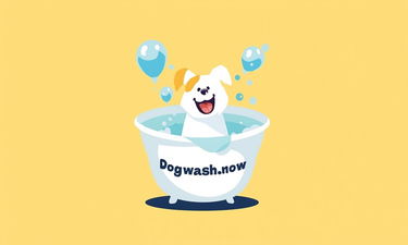 DogWash.Now - Creative brandable domain for sale