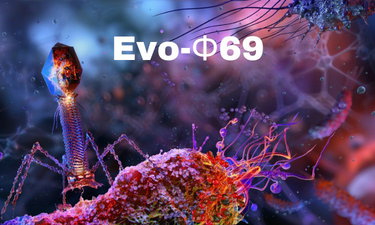 EvoPhi69 logo