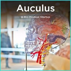 Auculus