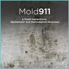 Mold911