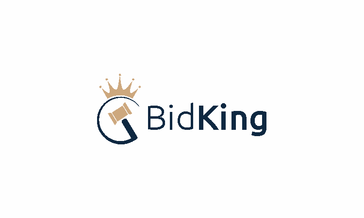 BidKing.com - Creative brandable domain for sale