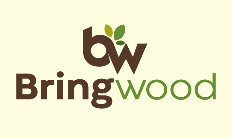 Bringwood.com - Creative brandable domain for sale