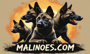 Malinoes.com