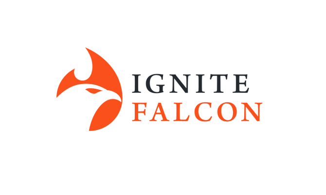 ignitefalcon.com