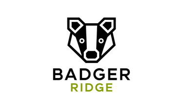 BadgerRidge.com - Creative brandable domain for sale