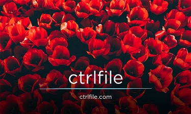 CtrlFile.com
