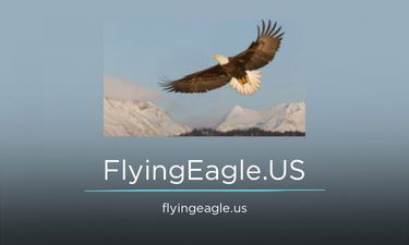 FlyingEagle.US - Creative brandable domain for sale