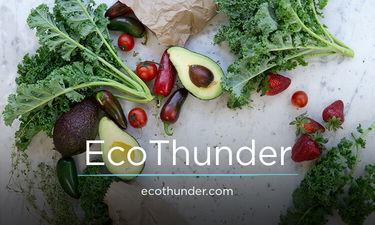 EcoThunder.com - Catchy premium names