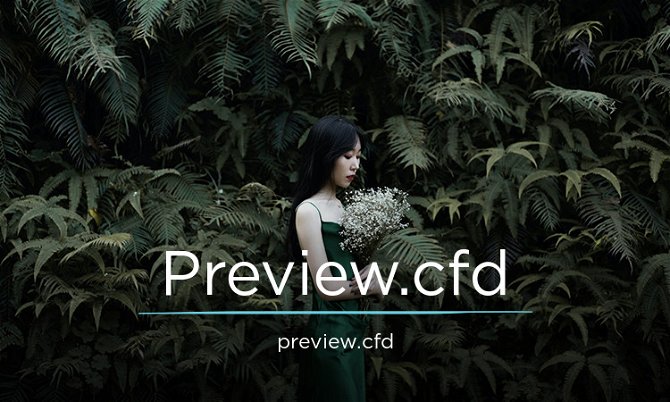 Preview.cfd