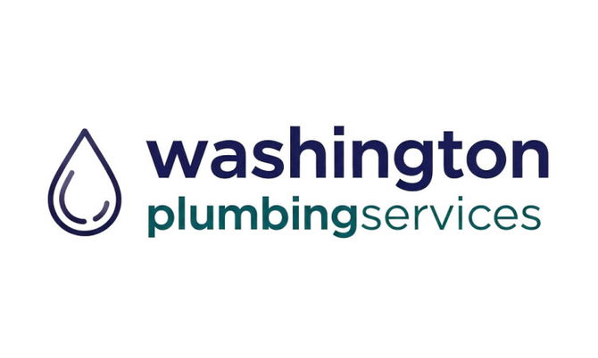 washingtonplumbingservices.com