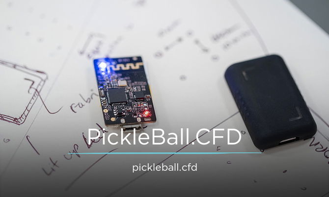 PickleBall.cfd