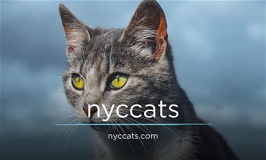 nyccats.com