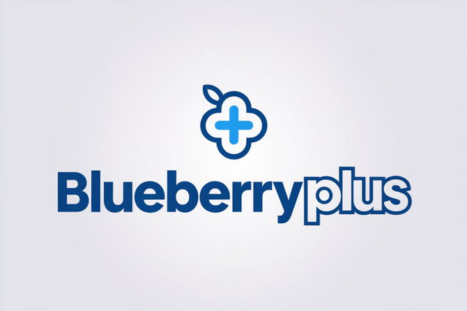 BlueberryPlus.com