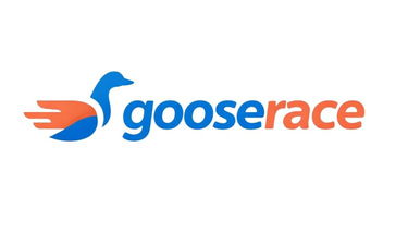 gooserace.com - Creative brandable domain for sale