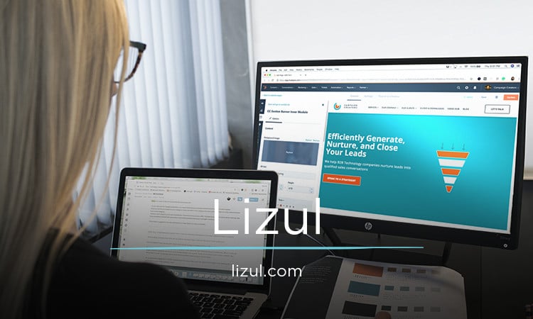Lizul logo
