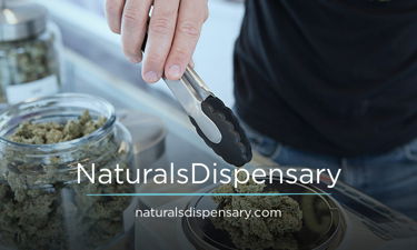 NaturalsDispensary.com - Creative brandable domain for sale
