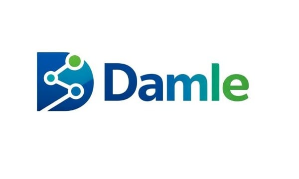 Damle logo