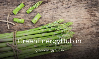 GreenEnergyHub.in - Creative brandable domain for sale