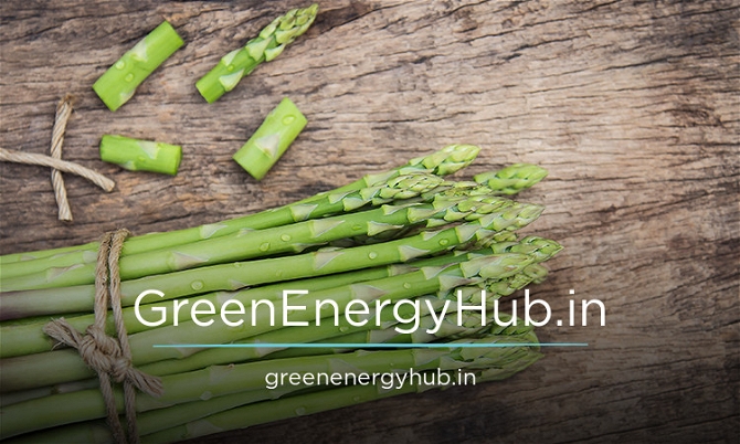 GreenEnergyHub.in