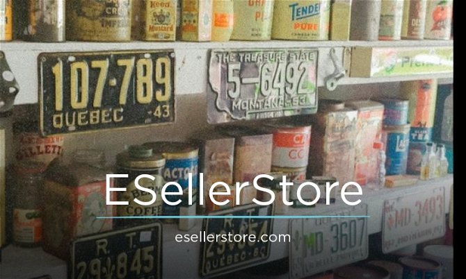 ESellerStore.com