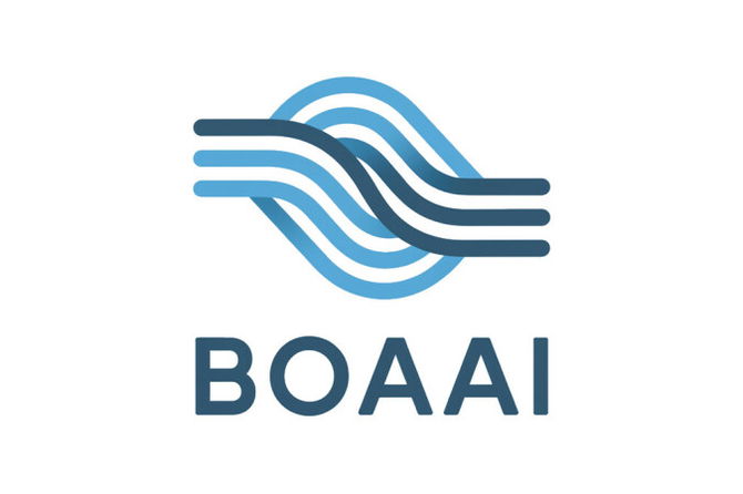 BOAAI.com
