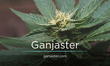 Ganjaster.com - Creative brandable domain for sale