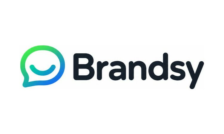 Brandsy logo