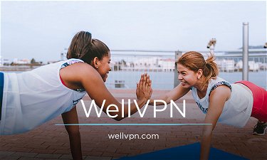 WellVPN.com - Creative brandable domain for sale