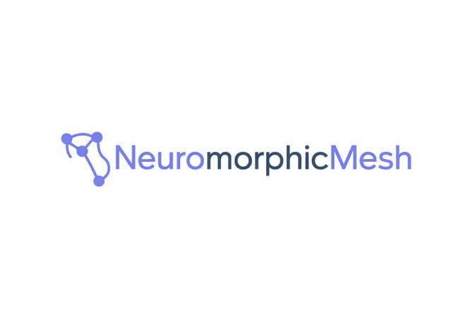 NeuromorphicMesh.com