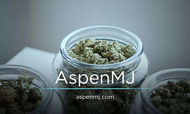 AspenMJ.com - Creative brandable domain for sale