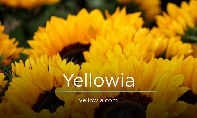 Yellowia.com