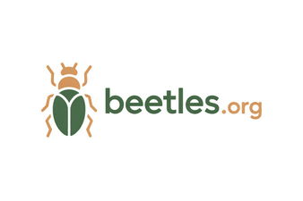 Beetles.org is for sale