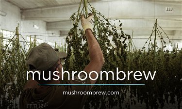 mushroombrew.com