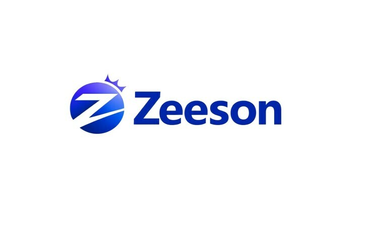 Zeeson logo