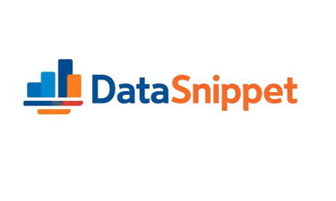 DataSnippet logo
