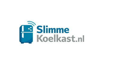 SlimmeKoelkast.nl - Creative brandable domain for sale
