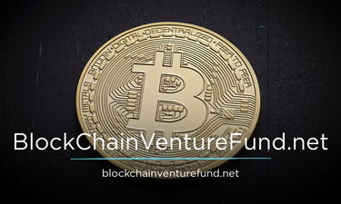 BlockChainVentureFund.net - Creative brandable domain for sale