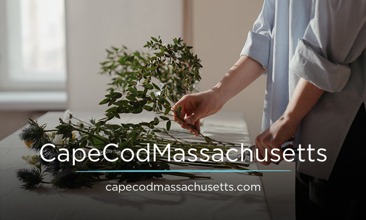 CapeCodMassachusetts logo