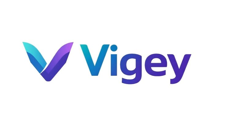 Vigey logo