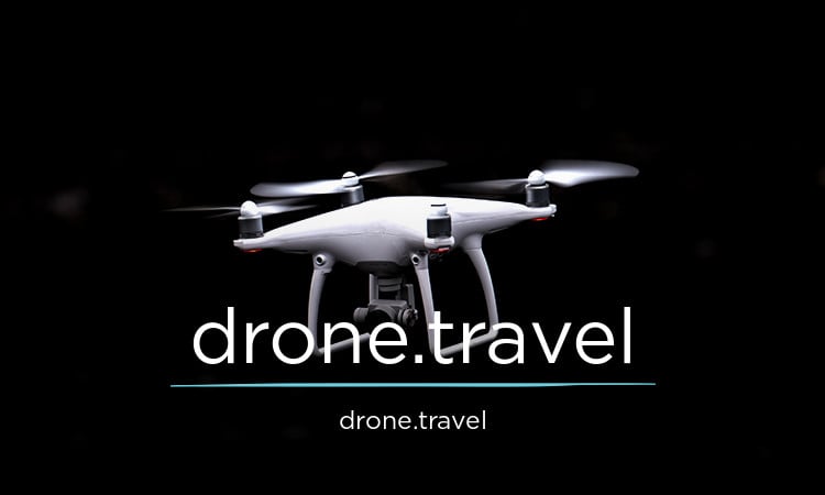Drone logo