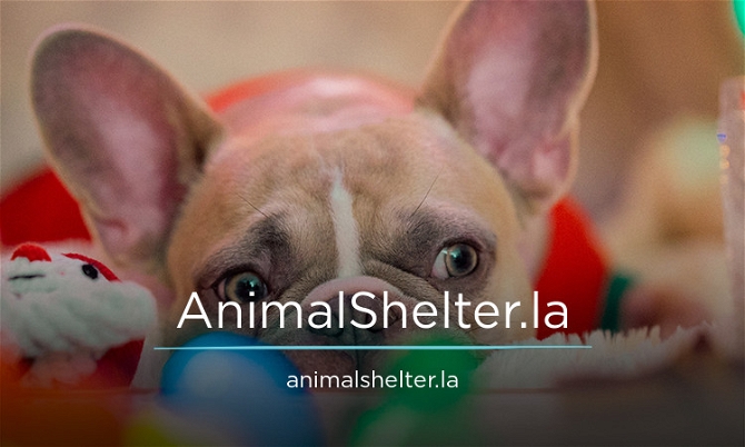 AnimalShelter.la