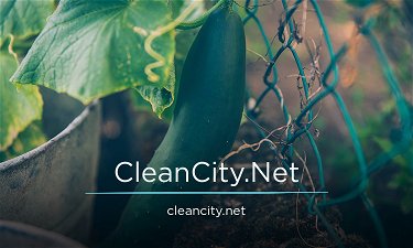 CleanCity.Net - Creative brandable domain for sale