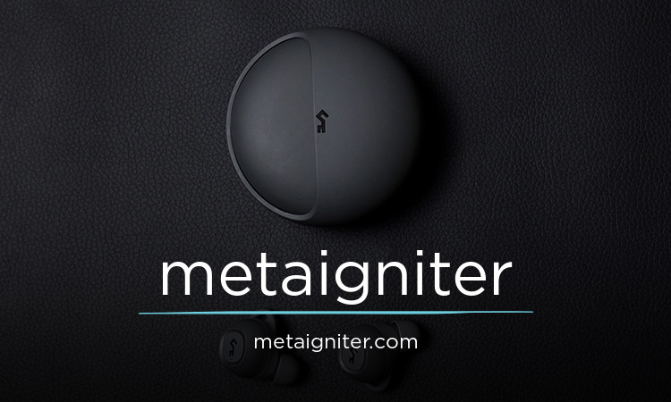 MetaIgniter logo