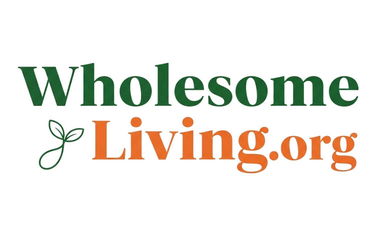 WholesomeLiving.org - Creative brandable domain for sale