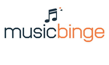 MusicBinge.com - Creative brandable domain for sale