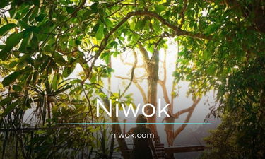 Niwok.com - Creative brandable domain for sale