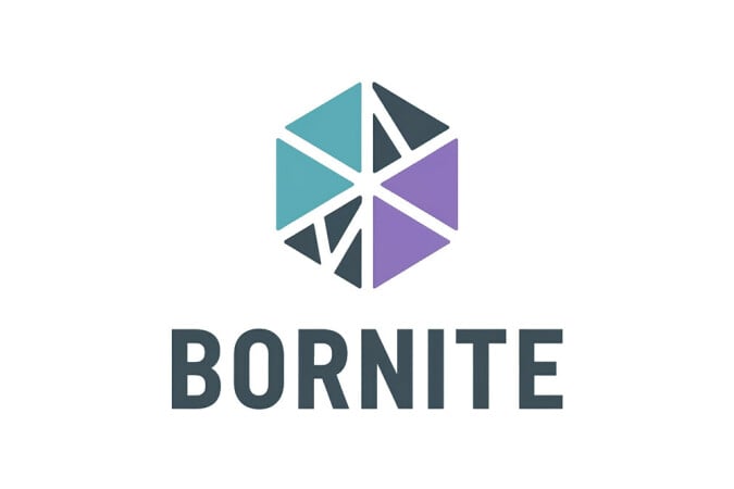 Bornite logo