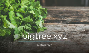 BigTree.xyz - Creative brandable domain for sale