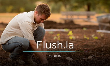 Flush.la - Creative brandable domain for sale